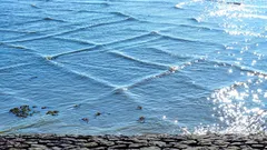 ”Fel i matrisen”: På Michigansjön har man registrerat sällsynta kvadratiska vågor